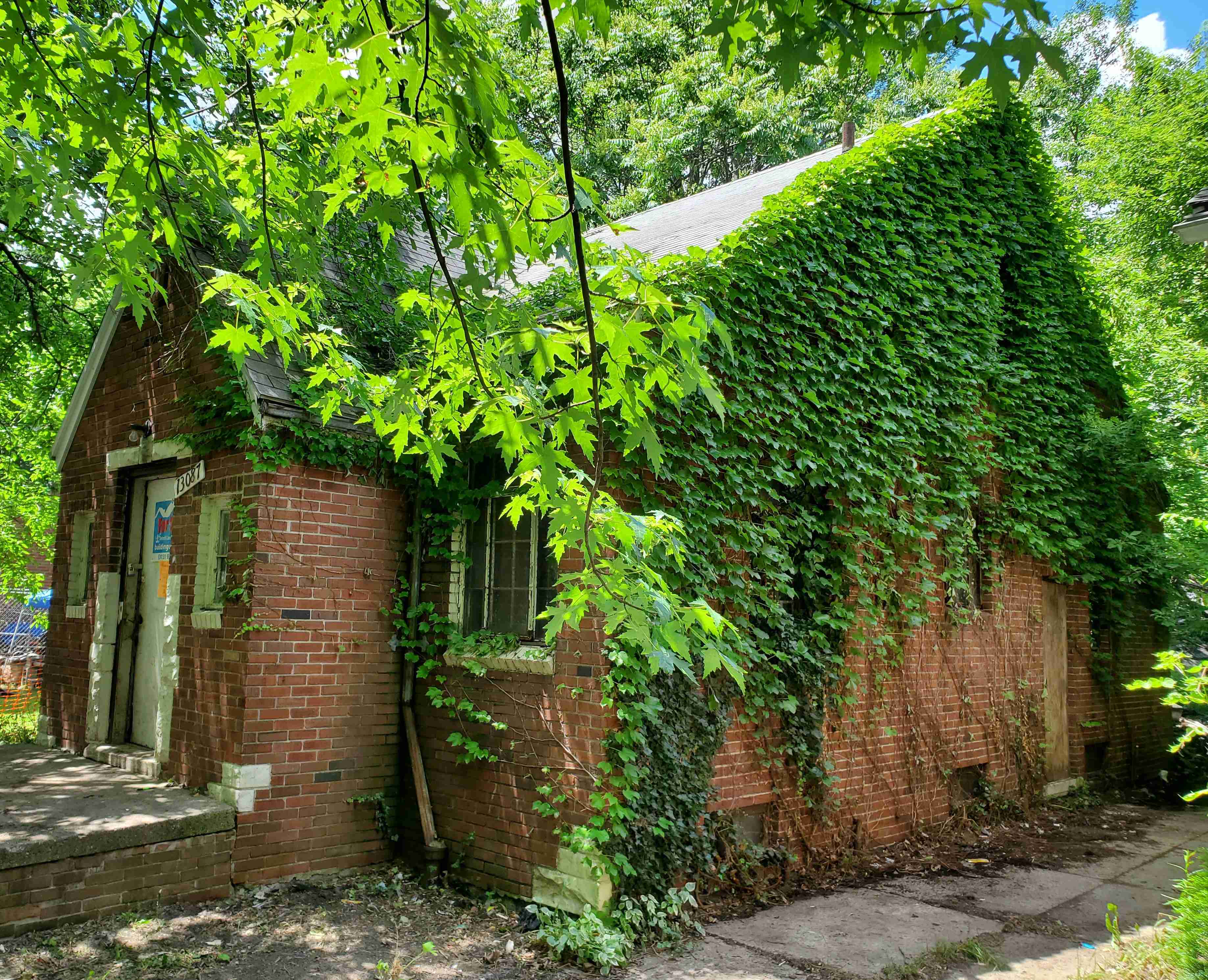 20210614_142321 (2).jpg